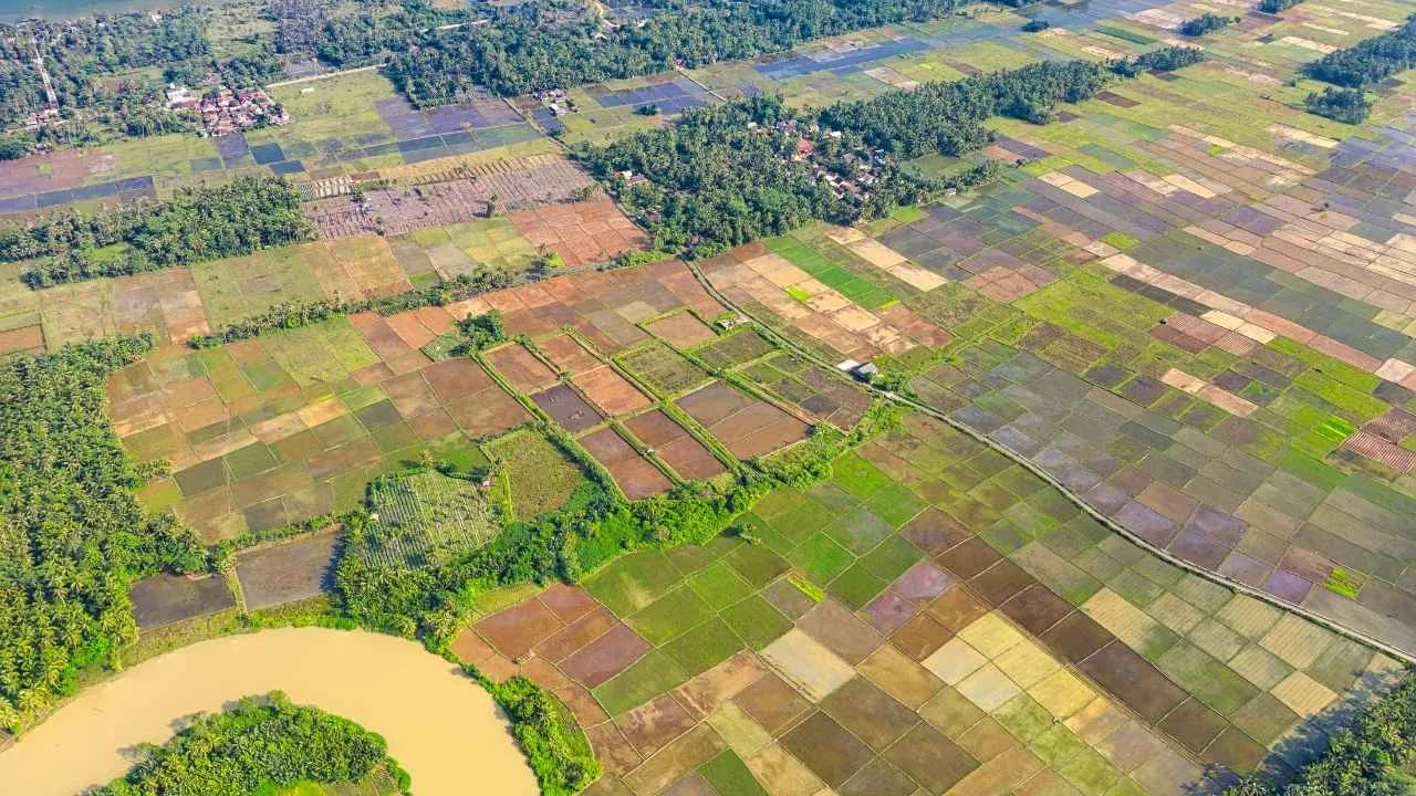 Haryana News Haryana government's big decision Now farmers will decide the price of land themselves, the condition of '3 times the rate' has been removed. 