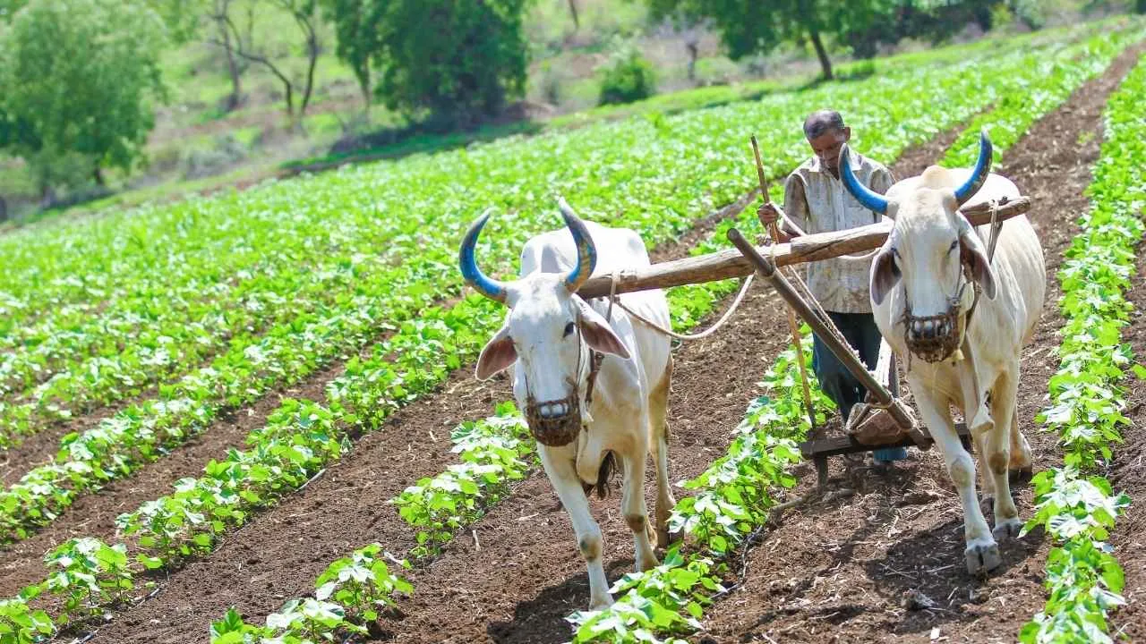 Haryana News Now farmers can decide the price of their land themselves! The Haryana government has changed the land acquisition rules. 