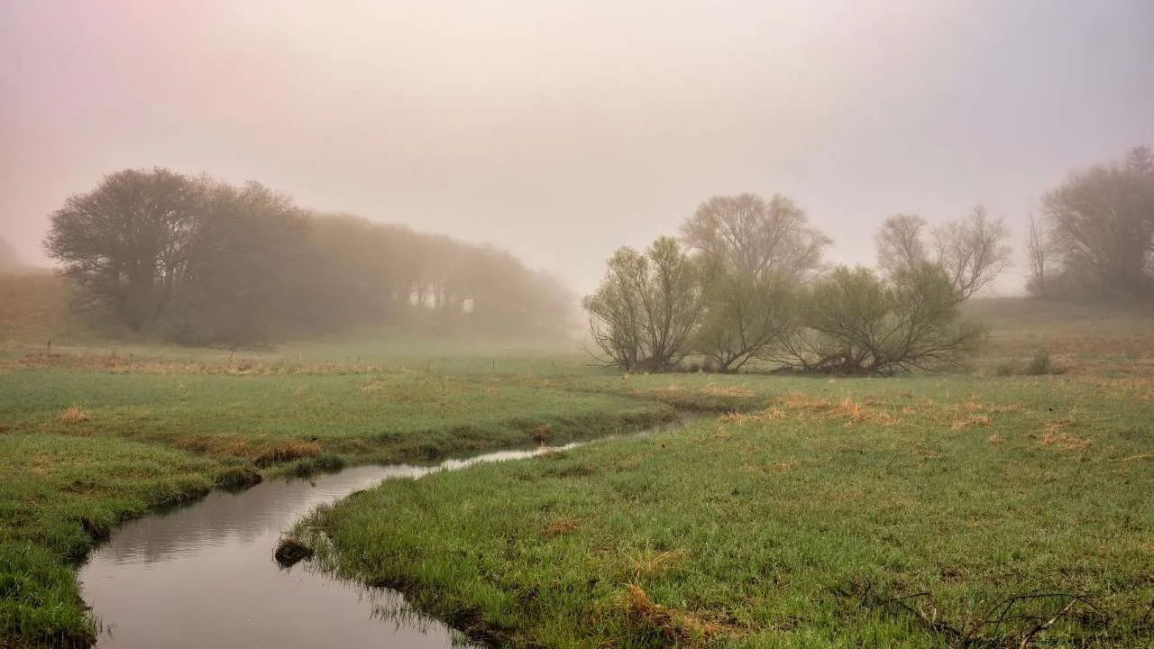 Severe cold weather grips Haryana, with temperatures dropping to 9 degrees in Faridabad! Temperatures are expected to drop further next week. 