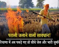 Haryana - पराली जलाने वालों अब हो जाओ सावधान! हरियाणा में अब पकड़े गए तो सीधे जेल और भारी जुर्माना