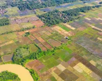 Haryana News: हरियाणा सरकार का बड़ा फैसला: अब किसान खुद तय करेंगे जमीन की कीमत, हटाई गई ‘3 गुना रेट’ की शर्त