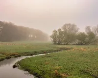 हरियाणा में कड़ाके की ठंड की आहट, फरीदाबाद में पारा गिरा 9 डिग्री तक! अगले हफ्ते और गिरेगा तापमान