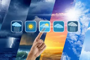 Cold Wave Coming! What IMD Says About Haryana Weather