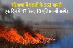 दिल्ली की हवा फिर खराब! हरियाणा में पराली जलाने का आंकड़ा 563 पहुंचा, एक दिन में 47 केस, 10 पुलिसकर्मी सस्पेंड