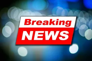 Haryana News: हरियाणा में इस बार डिपो पर नहीं मिलेगा बाजरा, जानिए सरकार ने क्यों लिया ये बड़ा फैसला