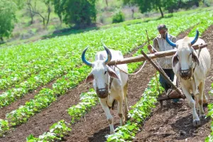 Haryana News: अब किसान खुद तय करेंगे अपनी जमीन की कीमत! हरियाणा सरकार ने बदले भूमि अधिग्रहण के नियम