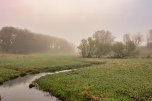 हरियाणा में कड़ाके की ठंड की आहट, फरीदाबाद में पारा गिरा 9 डिग्री तक! अगले हफ्ते और गिरेगा तापमान