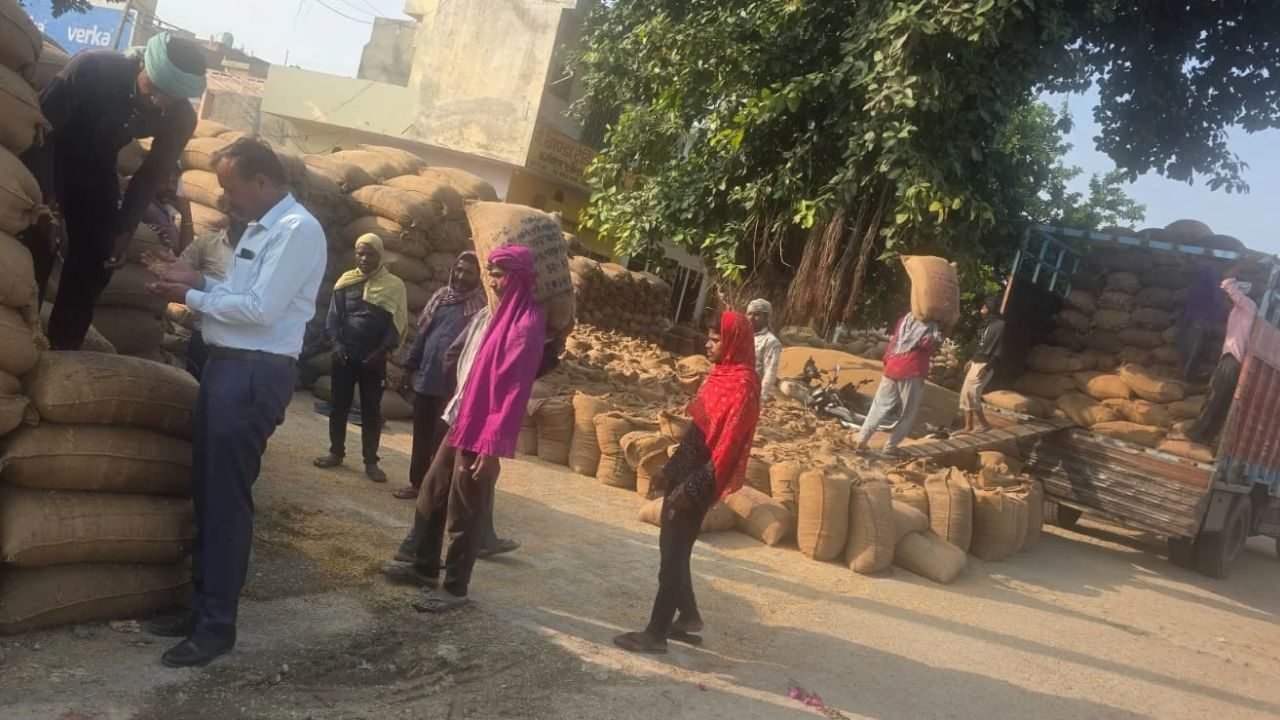 Haryana News: मौसम के बदले मिजाज के बीच ग्राउंड पर उतरा प्रशासन, कैथल ने धान उठान में बनाया नया रिकॉर्ड